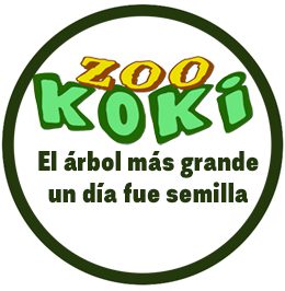 Programas de la Fundación