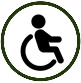 Acceso adaptado