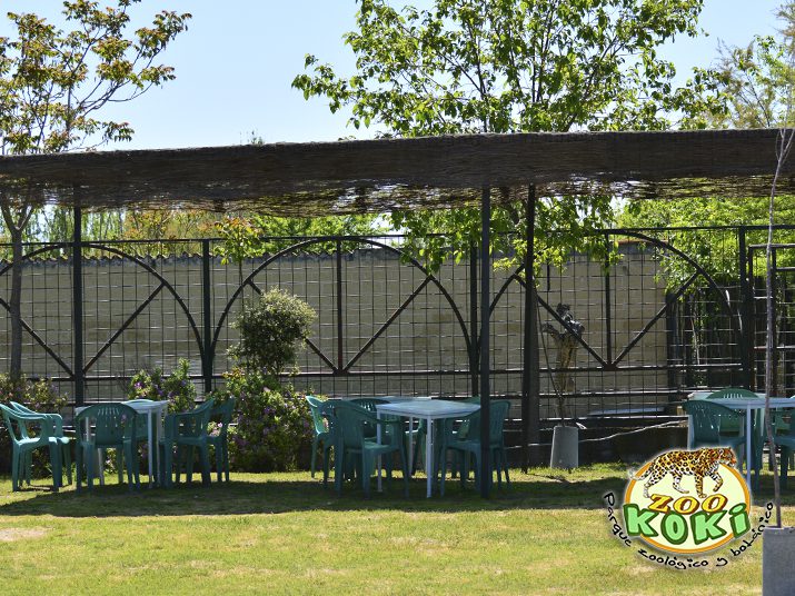Merenderos de Zoo Koki