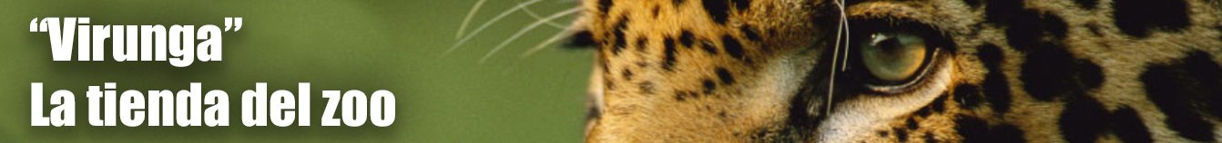 «Virunga» — la tienda del zoo
