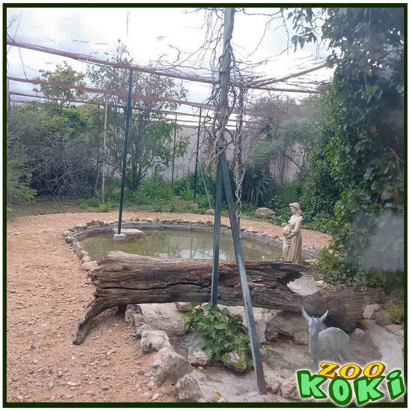 Senda del Jaguar